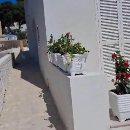 Apartament Open Space, Santa Maria